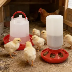 bebedouro e comedouro automático para aves