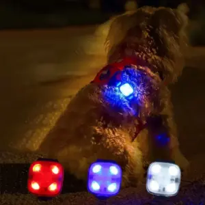pingente led para cães e gatos recarregável