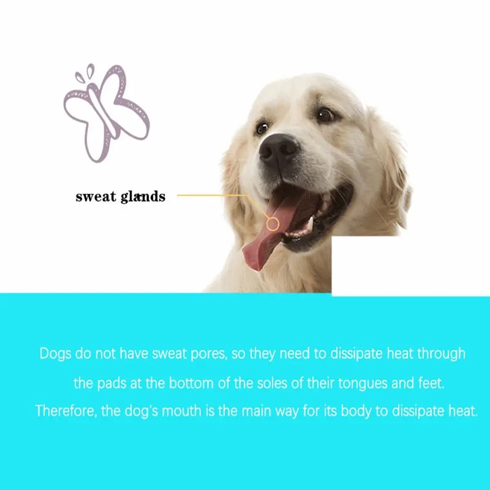 Focinheira para Cães de Focinho Curto de Silicone Ajustável - Image 2