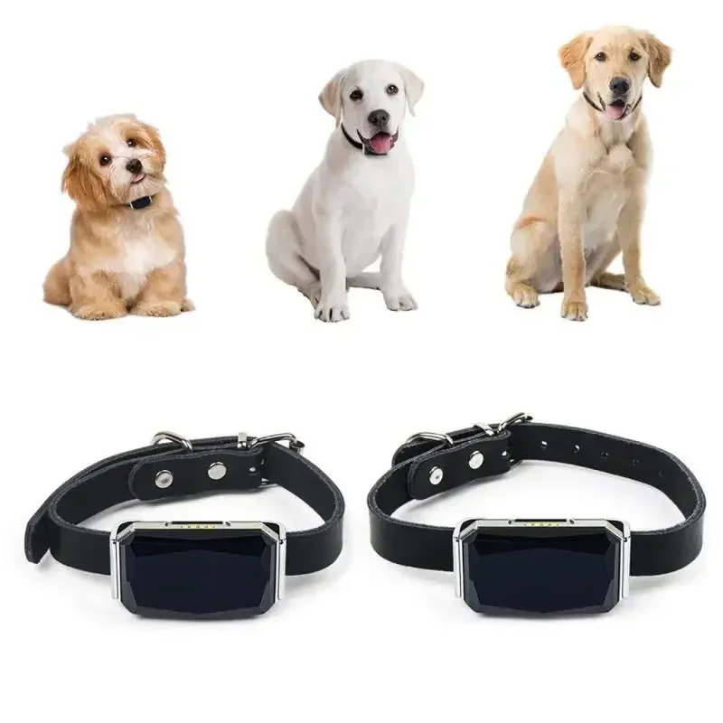 Coleira GPS para Cães e Gatos IP67 à Prova D'água com Cerca Eletrônica - Imagem 2