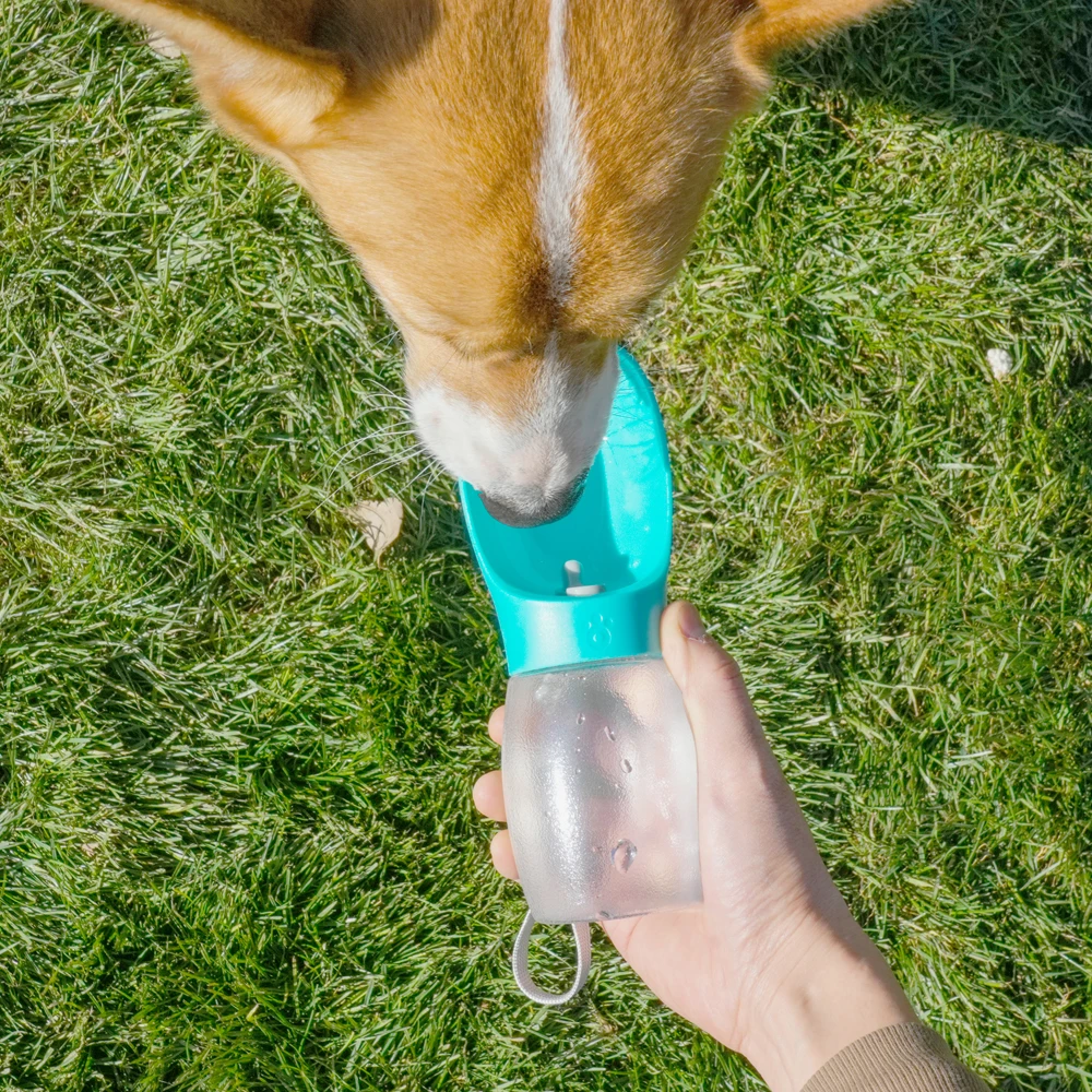 Garrafa de Água para Cães e Gatos 300ml Portátil com Cordão - Imagem 5
