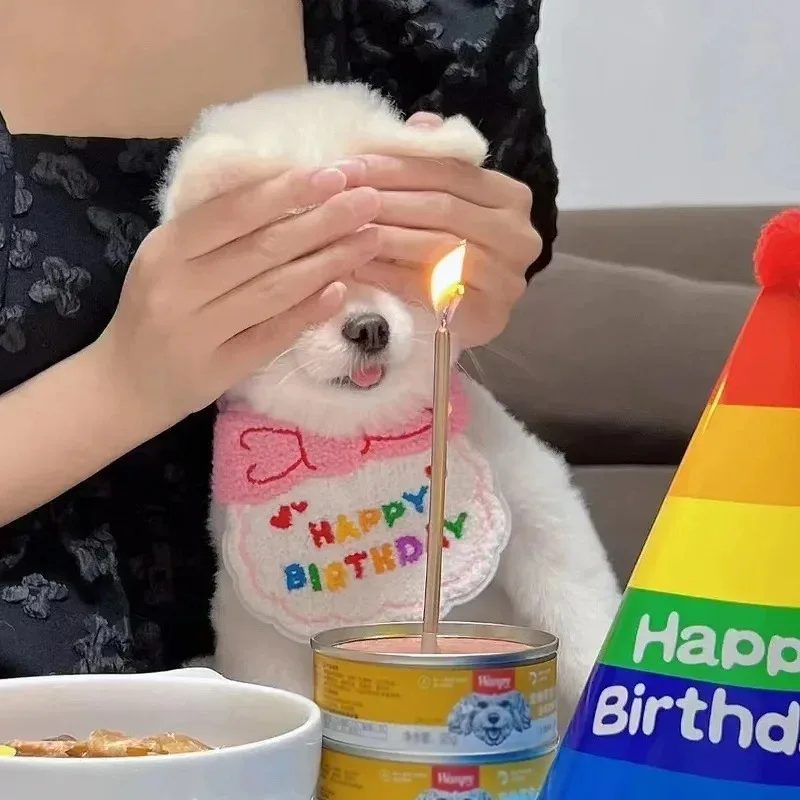 Chapéu e Cachecol de Aniversário para Cães e Gatos Pequenos - Image 3