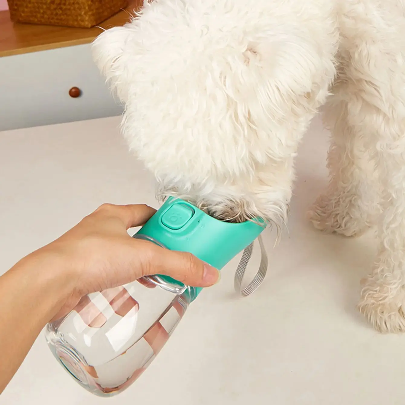 Garrafa de Água Portátil para Cães, 300 ml, à Prova de Vazamento - Imagem 5