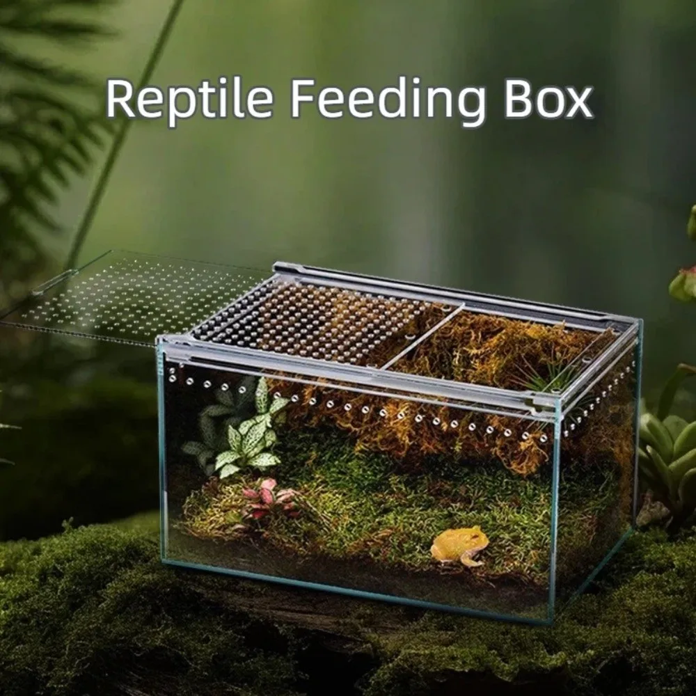 terrário para répteis de acrílico