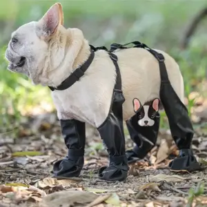 botas antiderrapantes para cães
