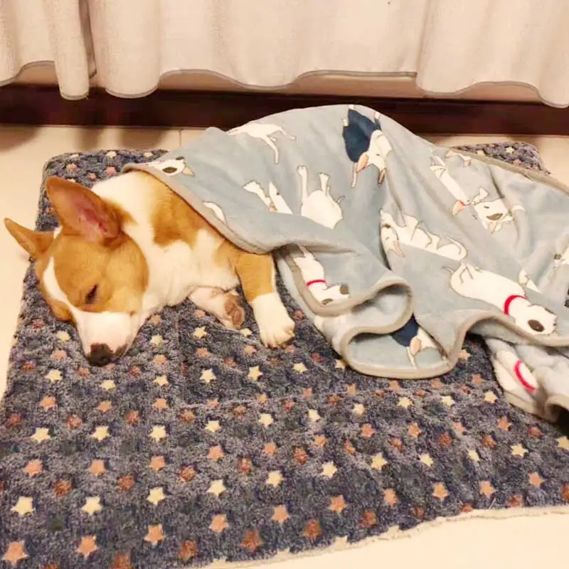 Manta Macia para Cães e Gatos de Lã Aconchegante para Sofá - Image 3