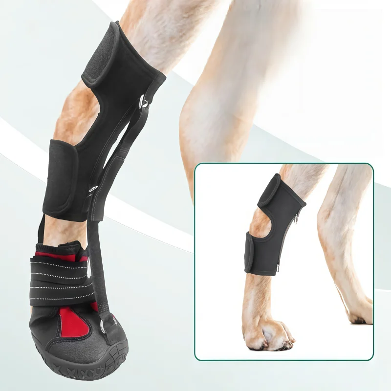 Sapatos Antiderrapantes para Cães com Sola de Borracha Respirável - Image 3