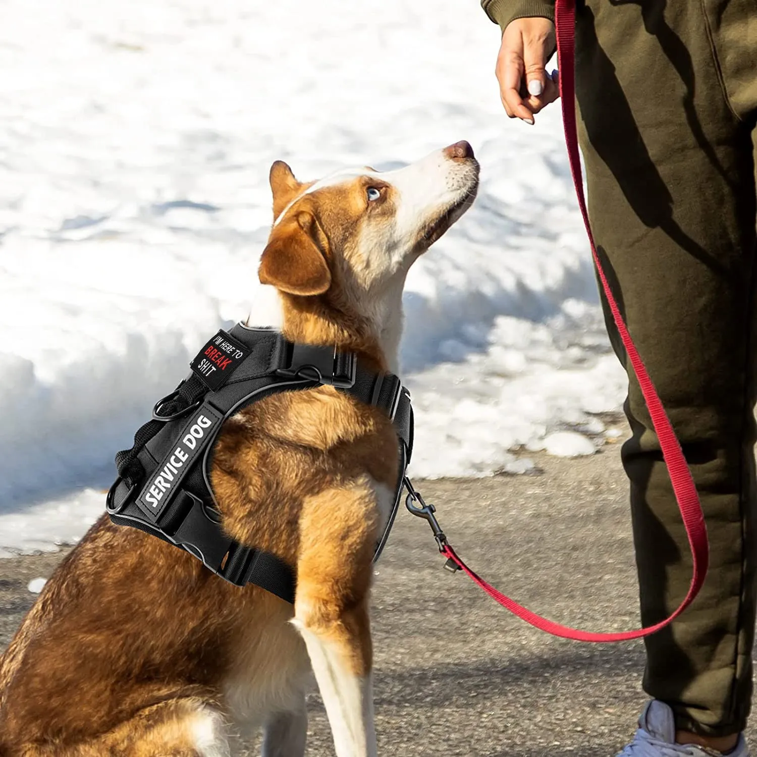 Colete para Cães Tático Reflexivo Cinza para Treinamento e Passeio - Imagem 4
