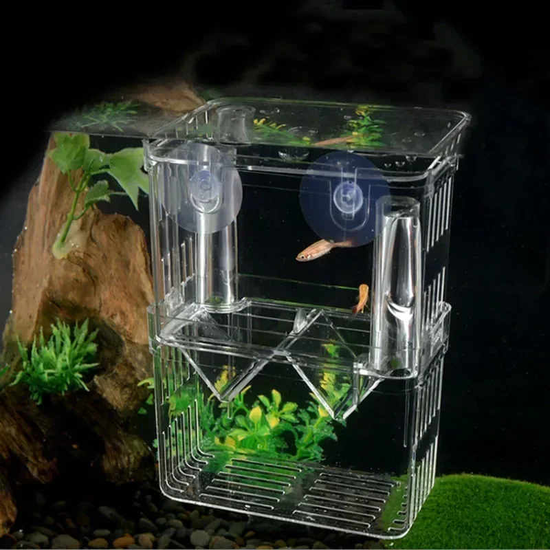 Caixa de Isolamento para Aquário 13cm x 10cm x 7cm Transparente com Ventosa - Imagem 4
