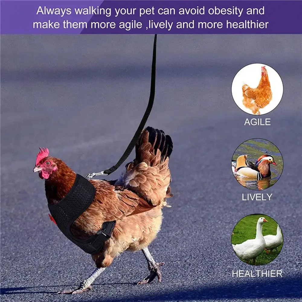 Colete para Aves Poliéster Ajustável M para Peito de 37,8 a 47,8 cm - Imagem 3
