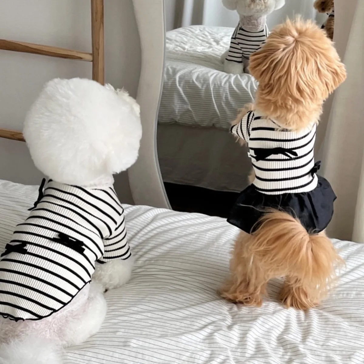 Colete Listrado para Cães e Gatos de Manga Curta - Imagem 2