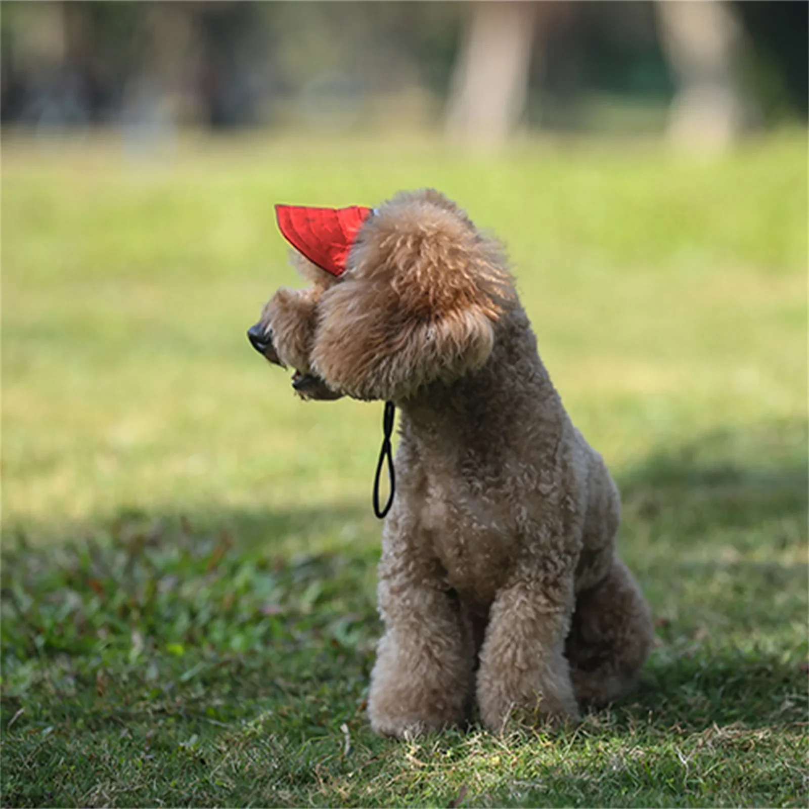 Boné de Beisebol para Cães com Furos para Orelhas Ajustável - Imagem 4