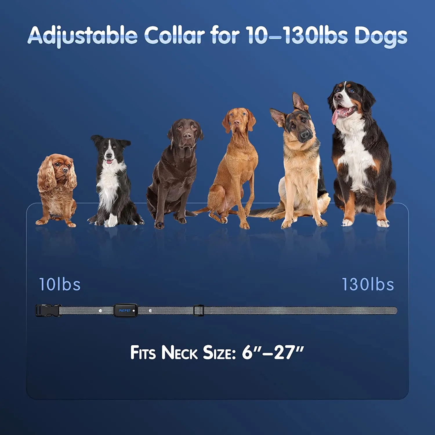 Coleira para Cães Recarregável com Vibração e Alcance de 800m - Imagem 2