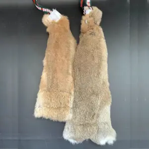 brinquedo de mordida para cães