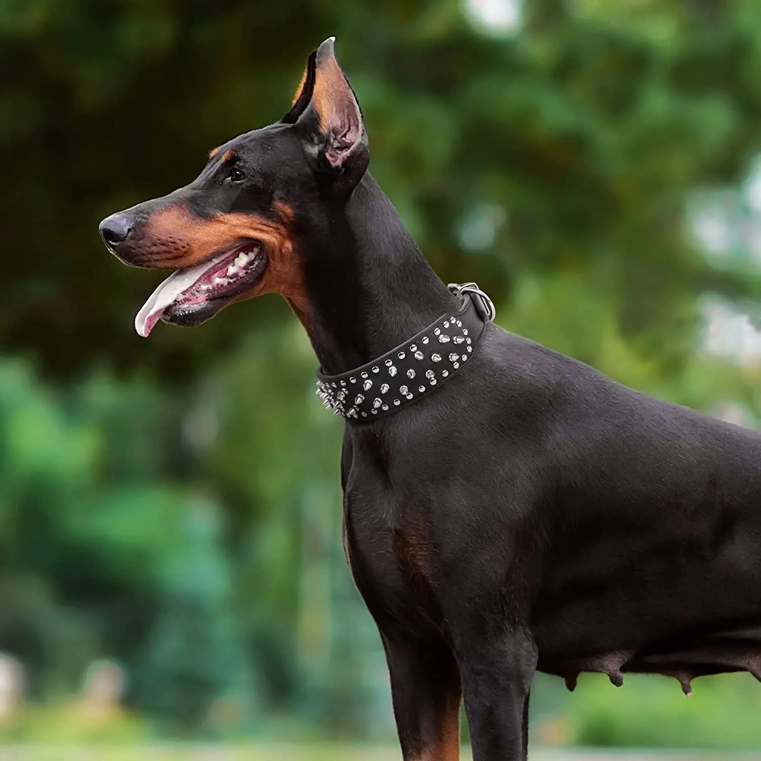 Coleira de Couro PU para Cães Grandes com Rebites Ajustável - Image 6