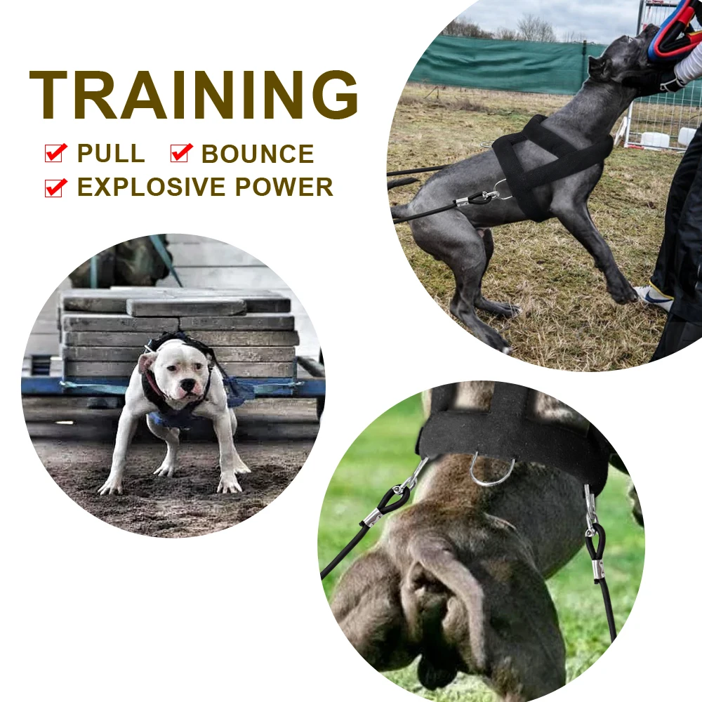 Peitoral para Cães de Trabalho Ajustável para Treinamento de Peso - Imagem 4