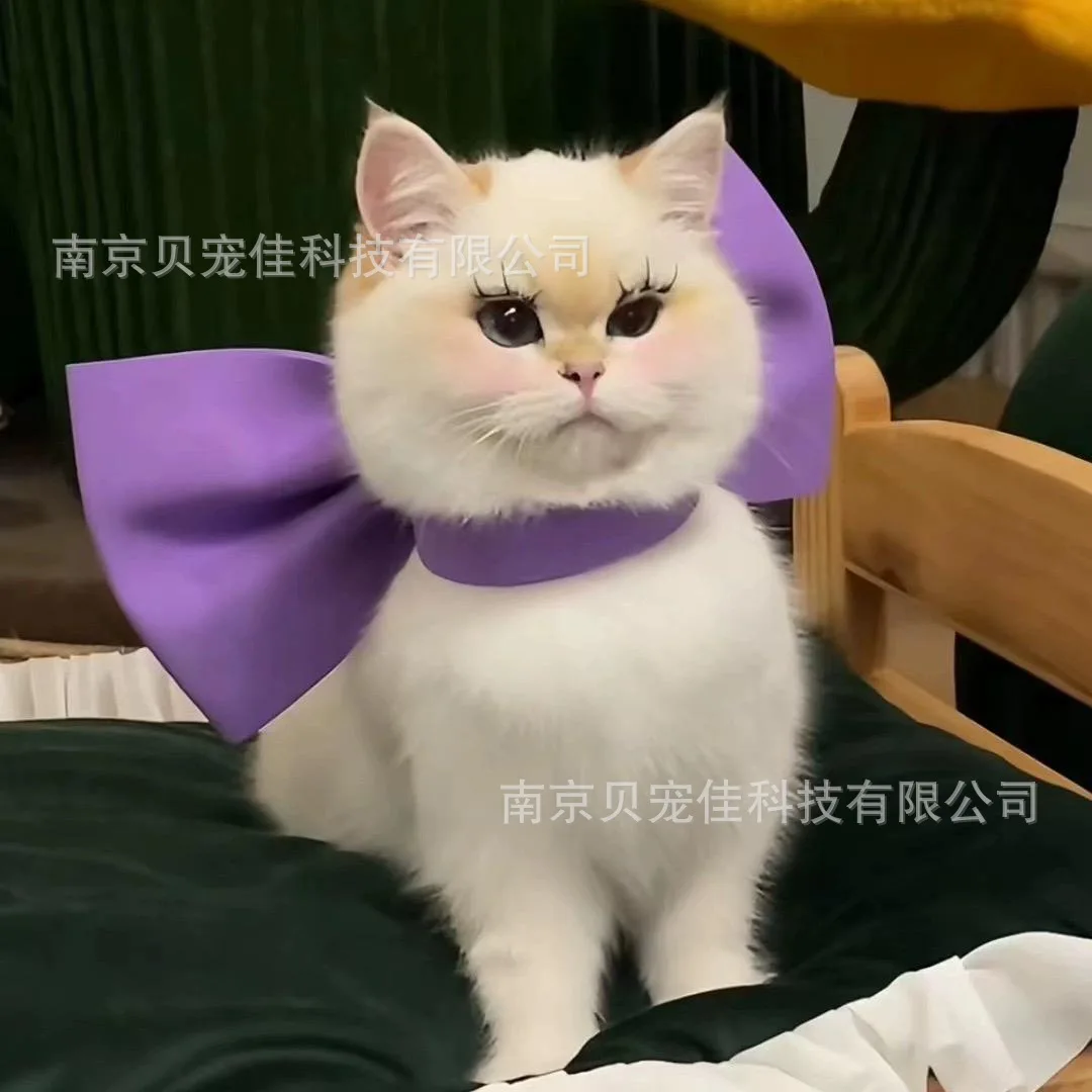 Coleira Laço para Gatos Decorativa Branca - Imagem 4