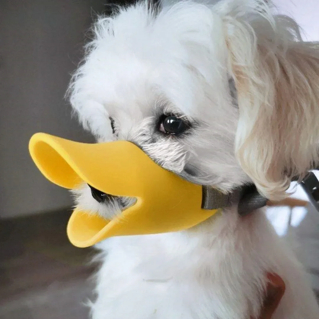Focinheira de Silicone para Cães Ajustável com Fivela de Liberação Rápida - Imagem 2