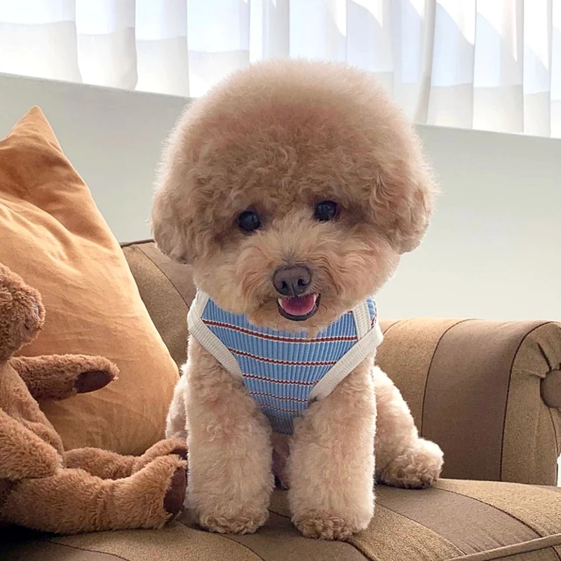 Camiseta Listrada para Cães Pequenos de Poliéster Leve - Imagem 4