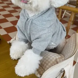roupa para cães com capuz de pelúcia