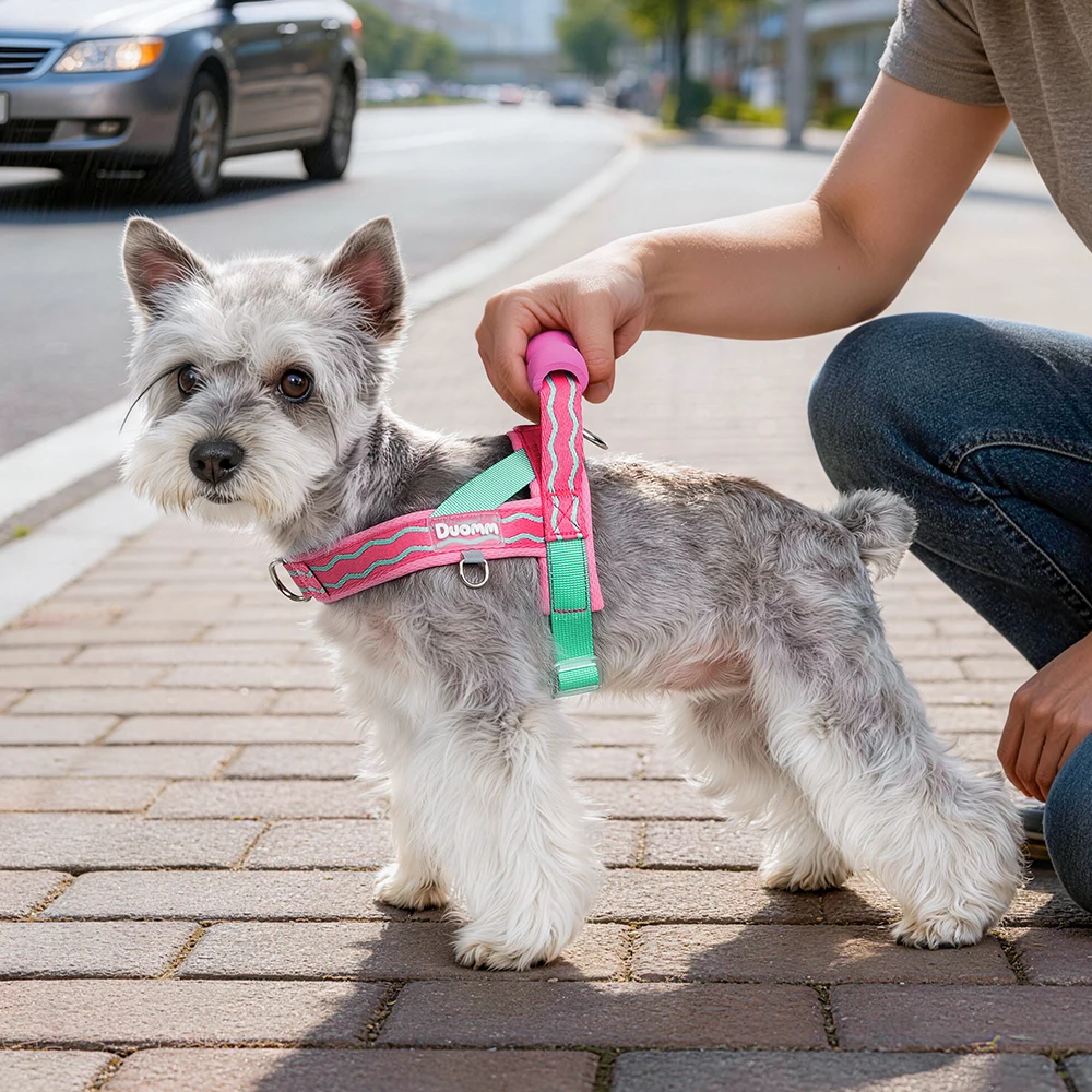 Coleira Peitoral para Cães Pequenos e Médios com Alça Acolchoada - Image 4