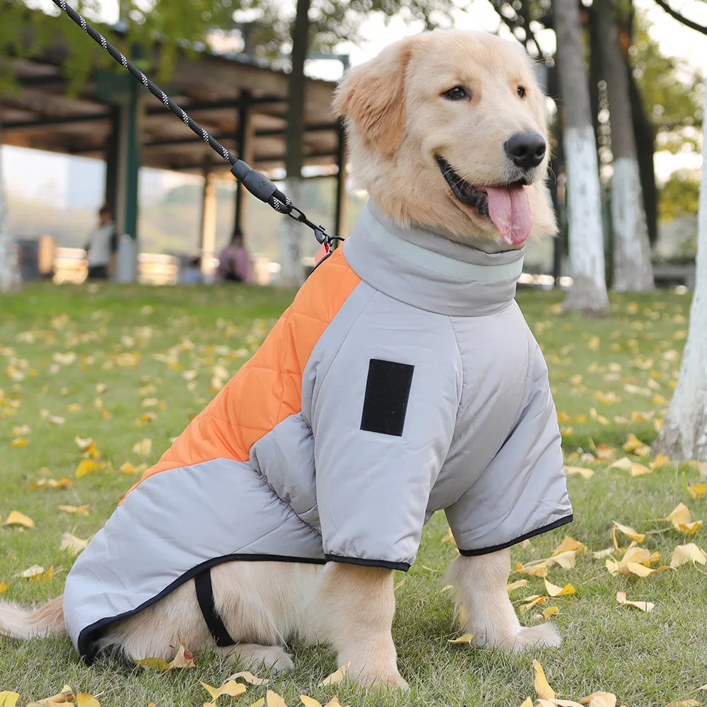 Macacão Impermeável para Cães Grandes de Algodão Quente - Image 3