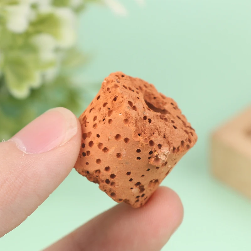 Anel de Cerâmica para Plantas de Aquário, 10 Peças, Fixa Plantas - Imagem 3