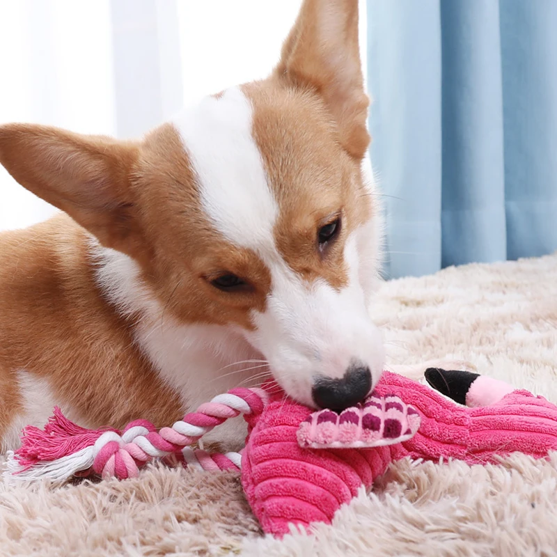 Brinquedo de Pelúcia para Cães com Apito Interno - Imagem 3