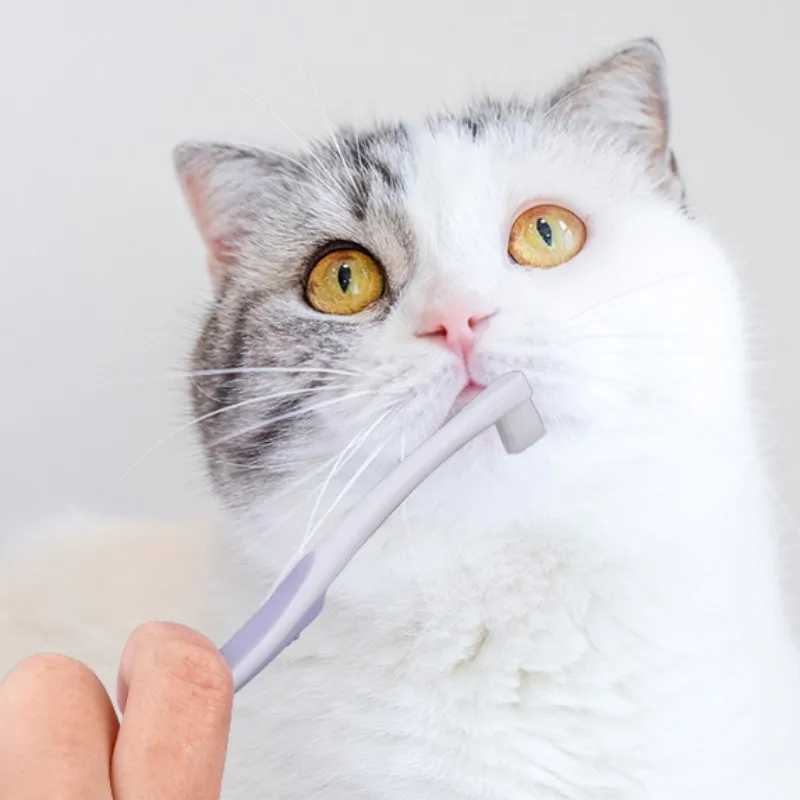Escova de Dentes para Cães Macia com Cabo Confortável - Imagem 2