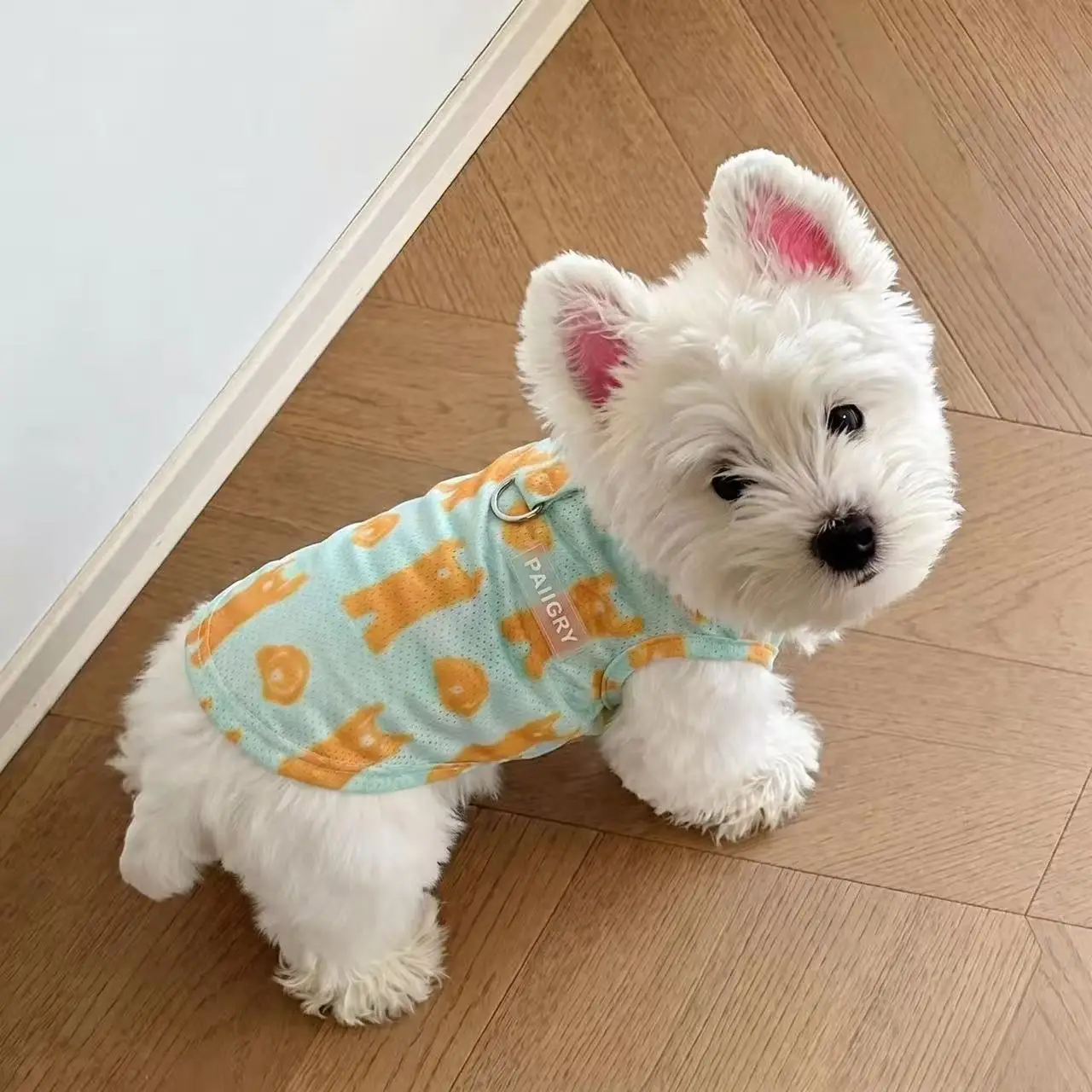 Roupa de Verão para Cães com Chapéu, Proteção Solar Respirável - Image 5