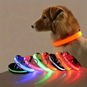coleira led para cães