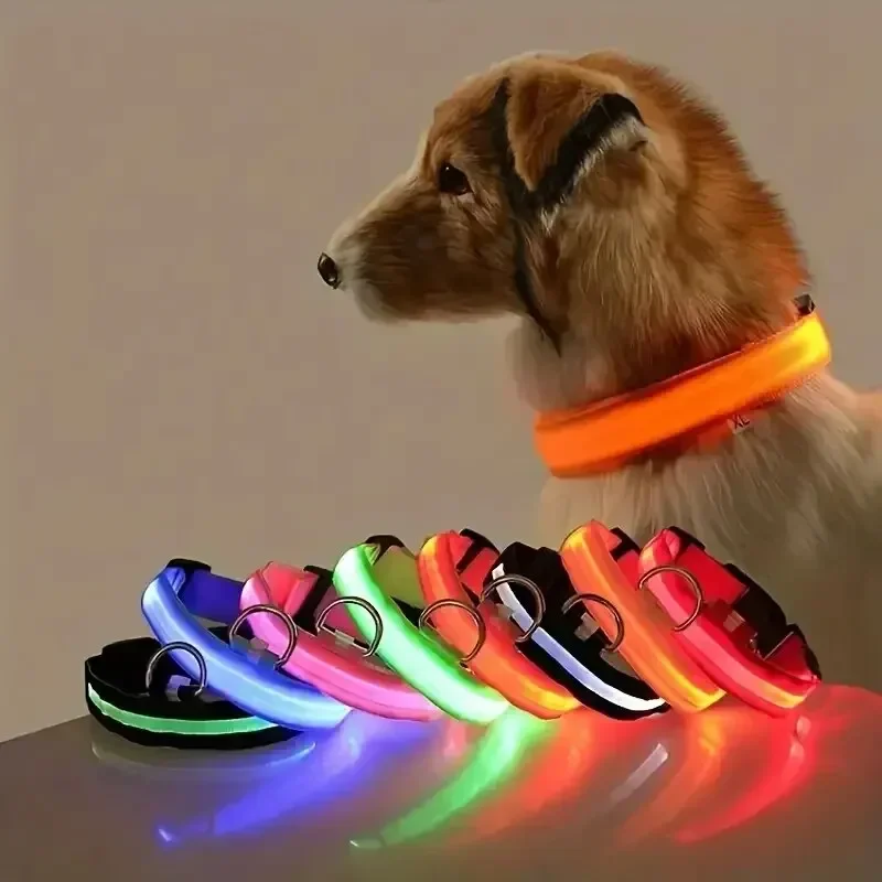coleira led para cães