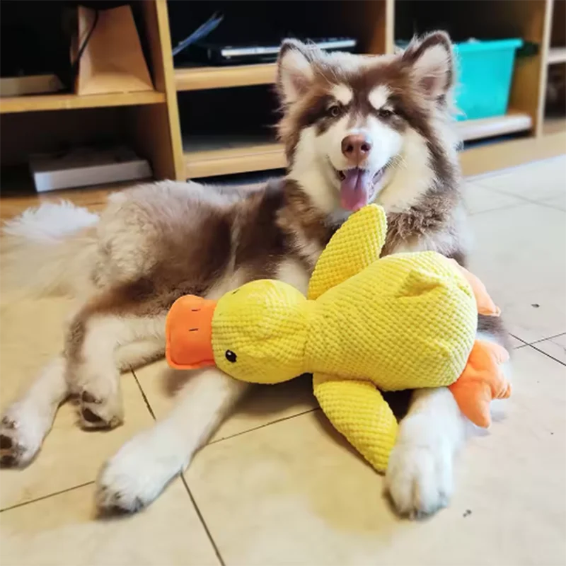 Brinquedo Pato de Pelúcia para Cães com Som Amarelo - Imagem 4