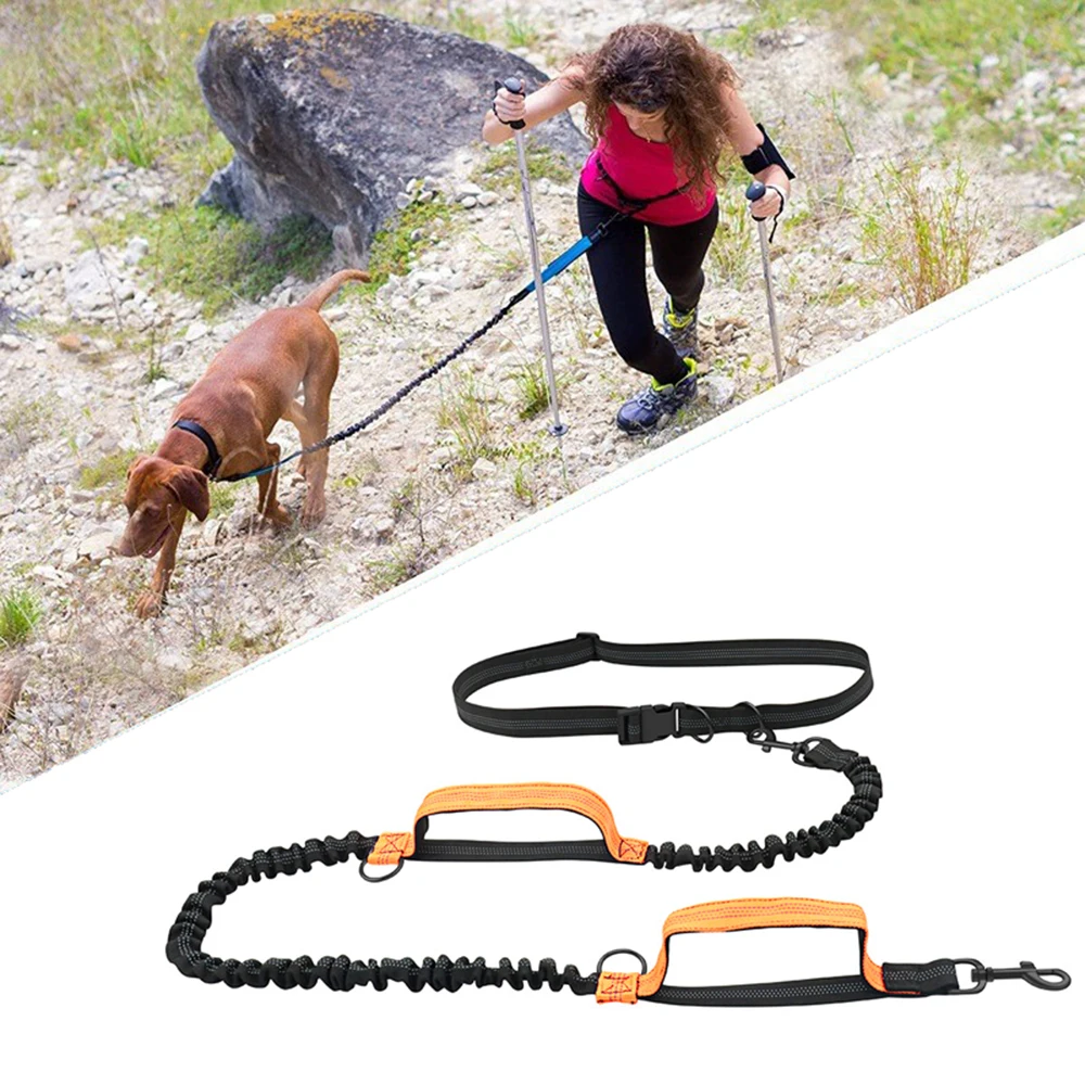 coleira retrátil para cães de nylon