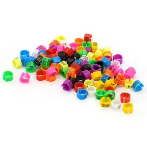 anéis de identificação para pombos