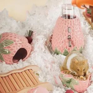 casa de cerâmica para hamster