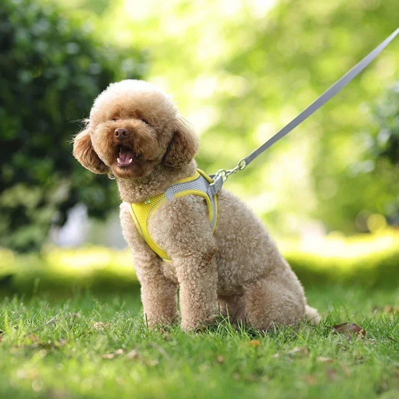 Peitoral para Cães Ajustável com Faixa Refletiva e Guia 1,5 m - Image 5