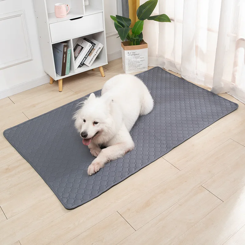 Tapete Absorvente para Cães Lavável Reutilizável com Fundo Antiderrapante - Imagem 3