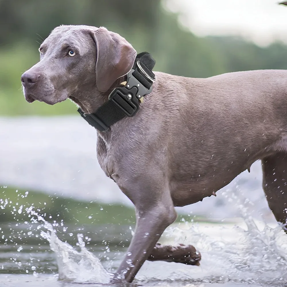 Arnês para Cães Médios e Grandes Ajustável - Imagem 4