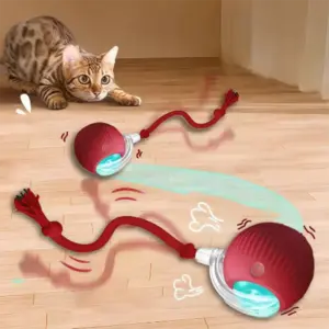 bola interativa para cães e gatos