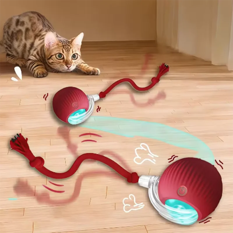 bola interativa para cães e gatos