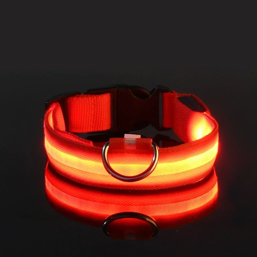 Coleira de Nylon para Cães com LED para Passeios Noturnos - Imagem 4