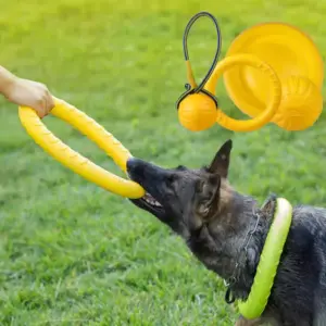 brinquedo frisbee para cães com corda