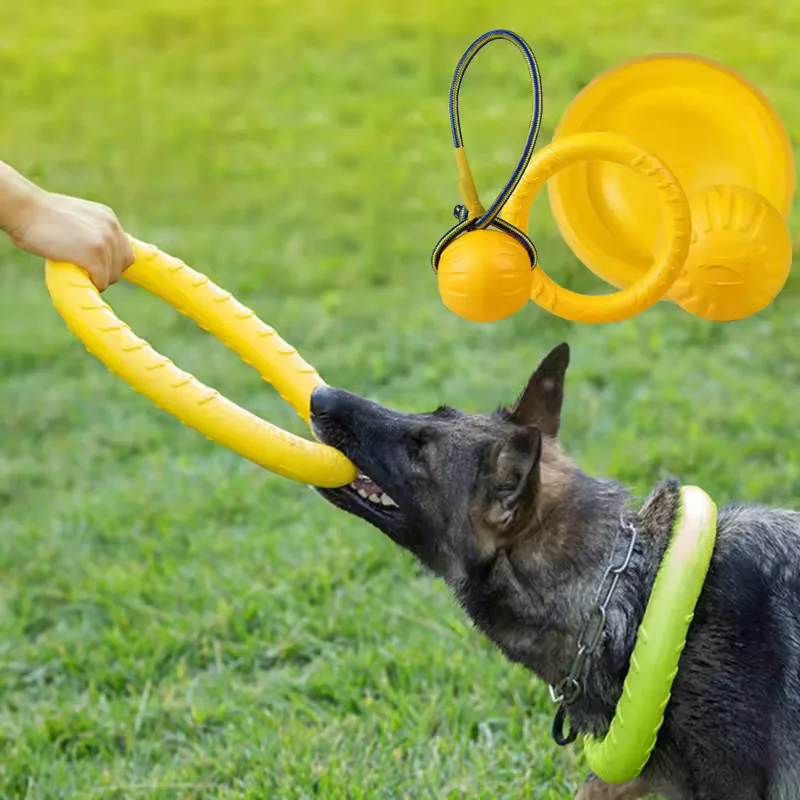brinquedo frisbee para cães com corda