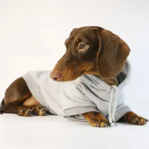 moletom para cães pequenos de poliéster