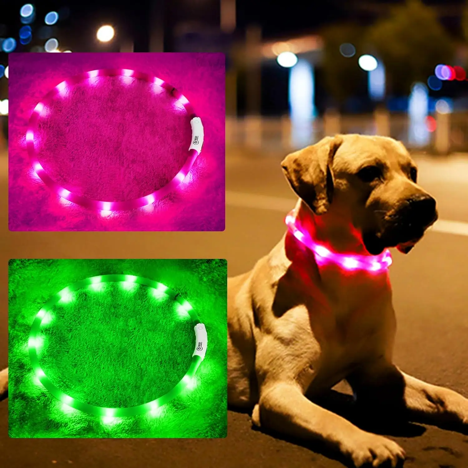 Coleira LED para Cães Recarregável USB com Faixa Iluminada - Imagem 3