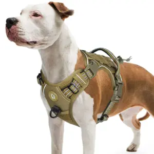 arnês tático para cães