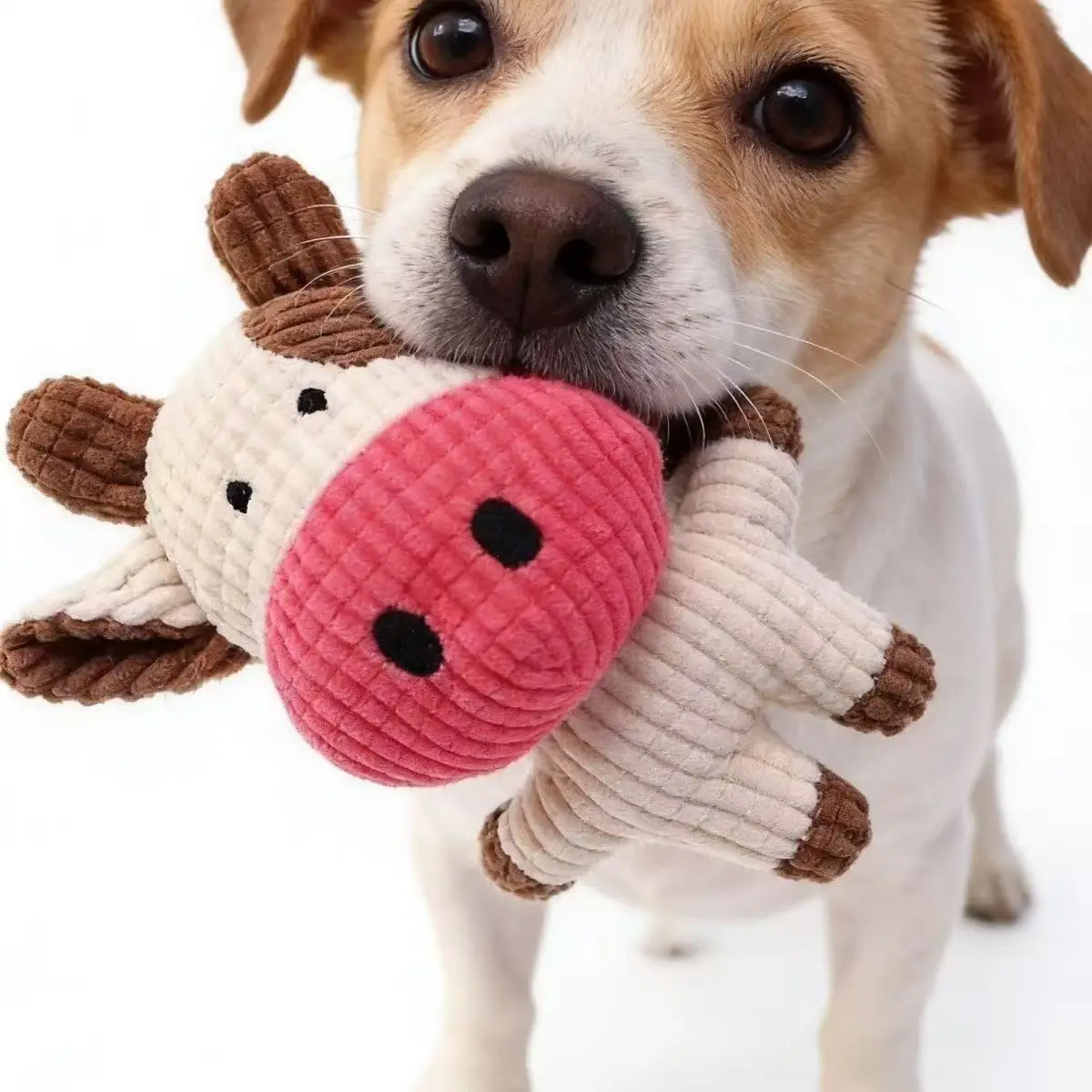 brinquedo de pelúcia para cães com apito