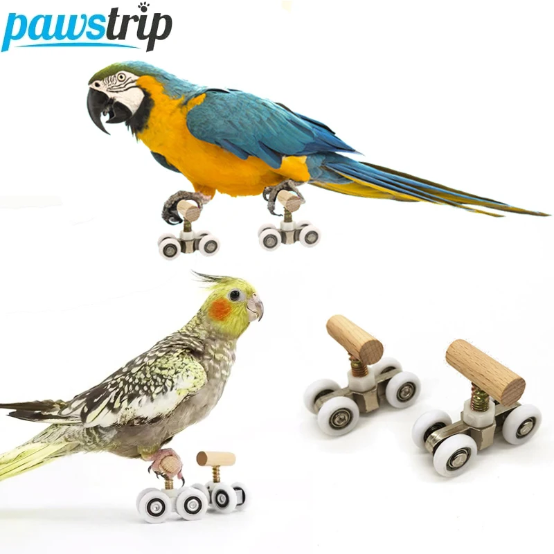 mini patins para pássaros