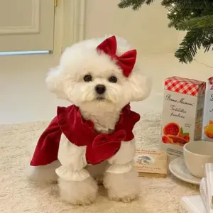 vestido de veludo cotelê para cães